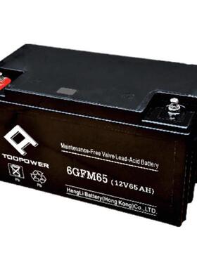 6GFM65 免维护电瓶 抑制横模和共模噪声应急电