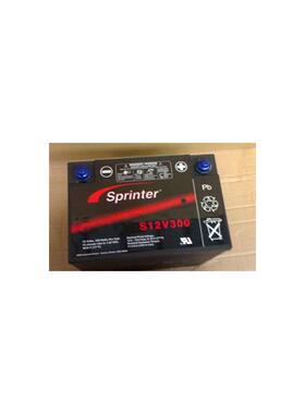 美国GNB蓄电池S12V300 12V80AH 质保胶体蓄电池