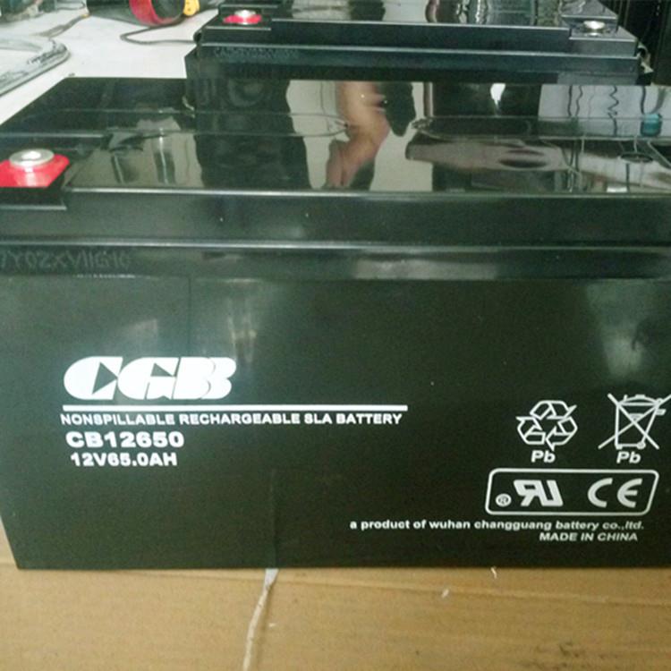 武汉CGB蓄电池CB121000 12V100AH直流屏应急电源 UPS铅酸电池