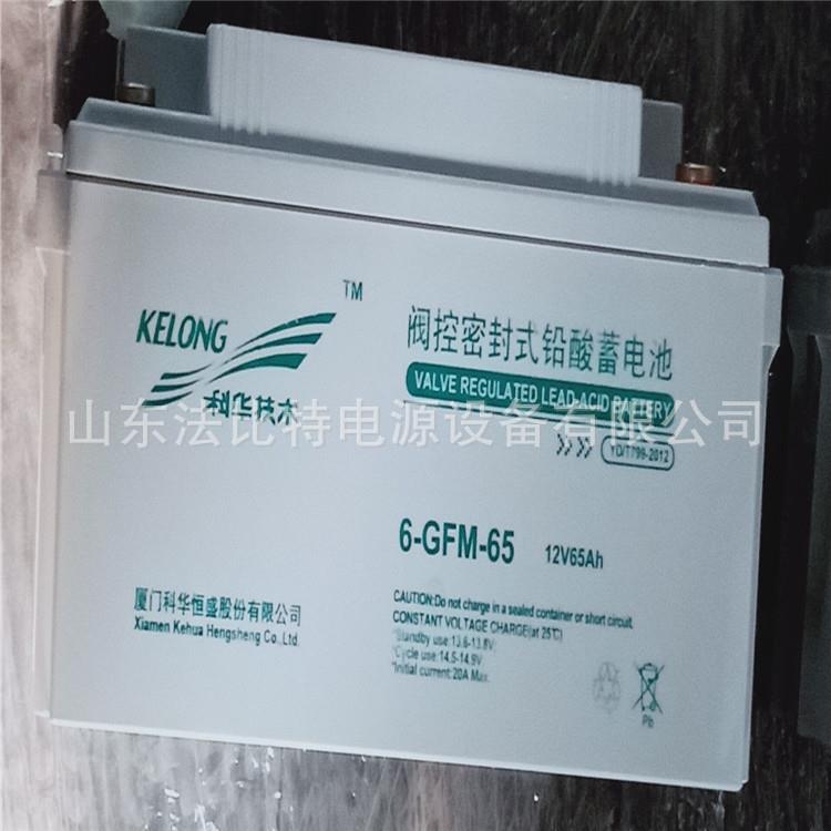 通讯蓄电池6-GFM-65/12V65Ah 机房电池 全新包运 技术