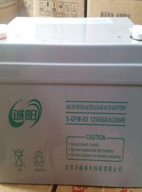 6-GFM-65 免维护储能电瓶 消防UPS后备应急电