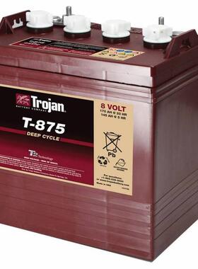 Trojan蓄电池T-125PLUS 6V240AH升降机 观光车专用电池