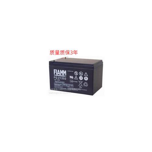 价非凡蓄电池FG21201/2