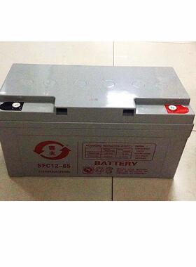 SFC12-65 长寿命经济储能电瓶 IDC数据中心UPS不间断电