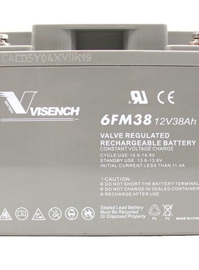 VISENCH/威神UPS蓄电池1