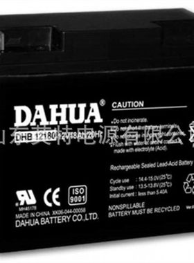 DAHUA大华蓄电池B12180V