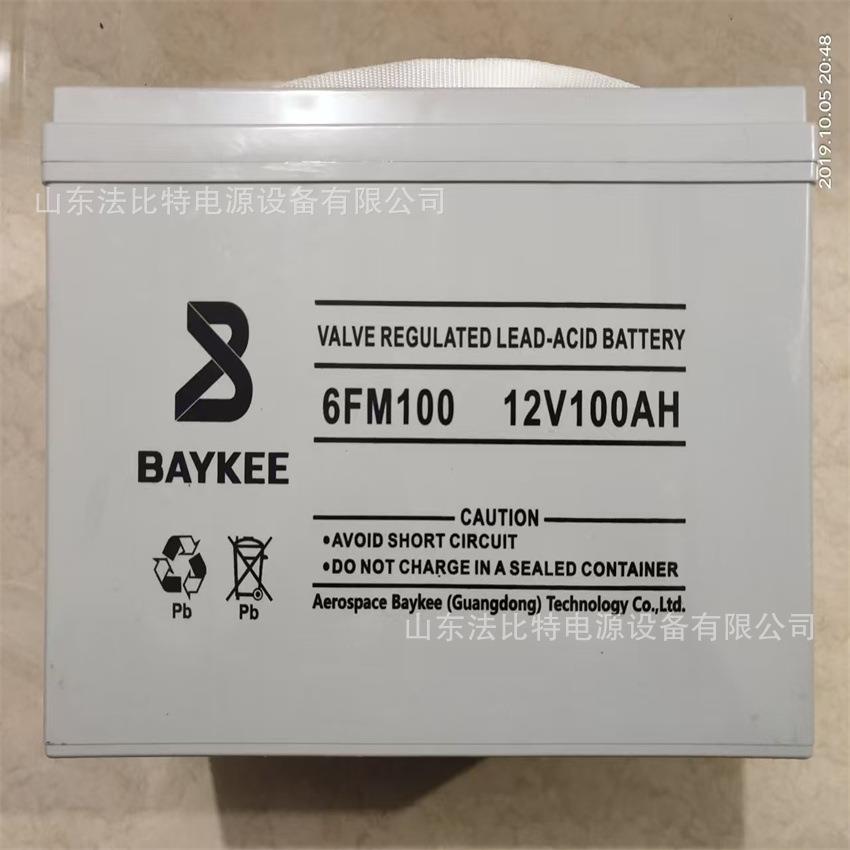 蓄电池6FM100阀控式免维护12V100Ah支持项目授权BAYKEE