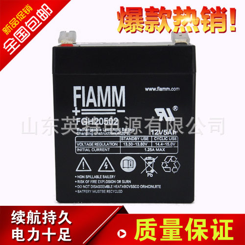 现货非凡（FIAMM）蓄电池