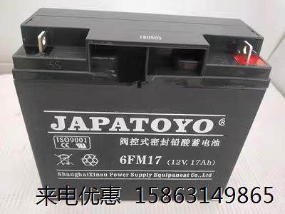 东洋 蓄电池 6GFM40 12V40AH UPS EPS 直流屏 应急 储能电瓶 包邮