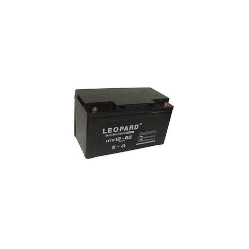 LEOPARD美洲豹蓄电池HTS1