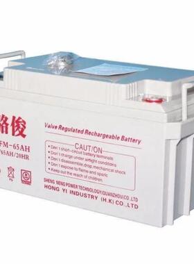 蓄电池6GFM-75AH 12V75AH/20HR直流屏柜电池专用