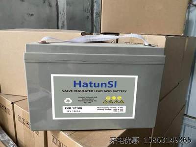 HatunSI蓄电池理士蓄电池12V100AH DJM12100S直流屏UPS/EPS通讯