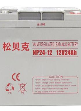 NP24-12 绿色环保储能电瓶 集散联网控制系统应急电