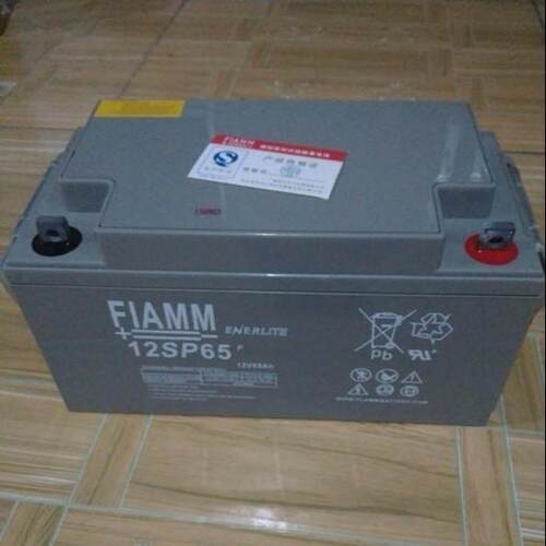 FIAMM12SP65意大利非凡