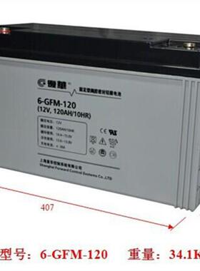 保护神12V100AH/MF12-100长寿命蓄电池 直流屏 UPS电池