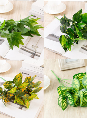 仿真绿色植物过胶万年青变色木工程园艺假花植物墙插花配草