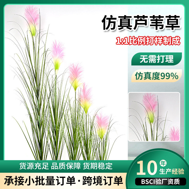 彩色仿真芦苇草干花高档摆件桌面办公装饰单支3头客厅造景把束,鲜花速递/花卉仿真/绿植园艺,仿真绿植,淘宝优惠券,粉丝福利购,淘宝优惠卷