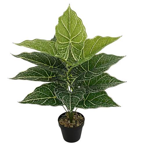 仿真绿植莲仙芋叶盆栽家居北欧风