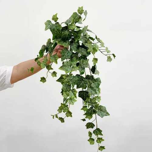 装饰遮挡挂墙绿植仿真胶片胶布