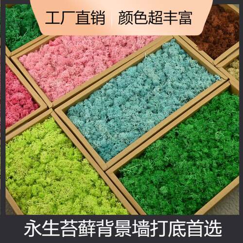 永生苔藓假植物墙造景装饰手工