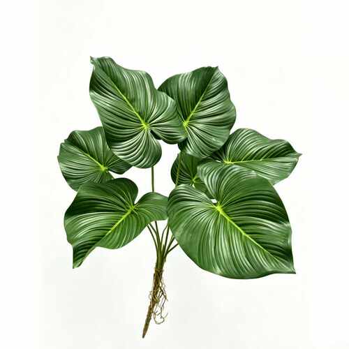 高仿真植物墙配草绿植把束波叶子