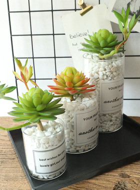 多肉植物带花睡莲仿真花家居装饰婚庆花墙植物墙假花MW17693