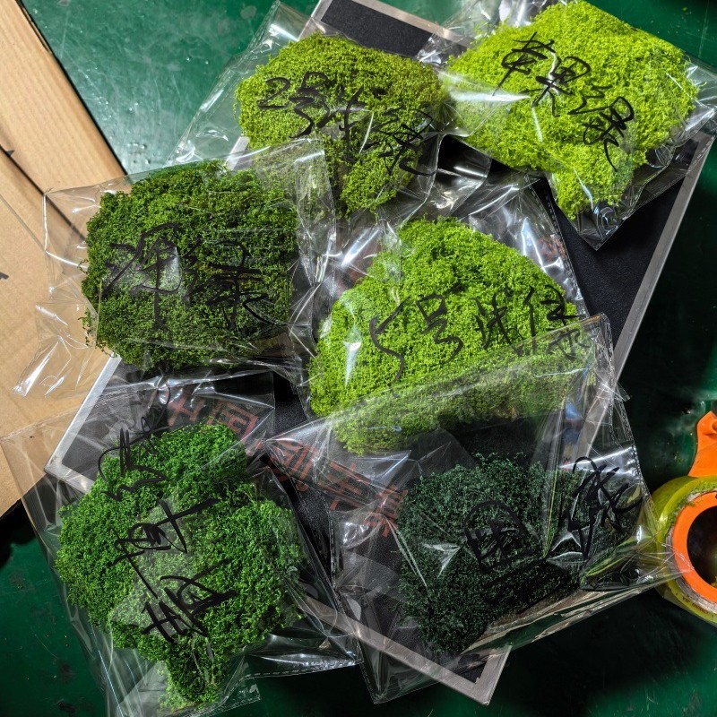 仿真丝状苔藓白发藓羊毛藓景观图片