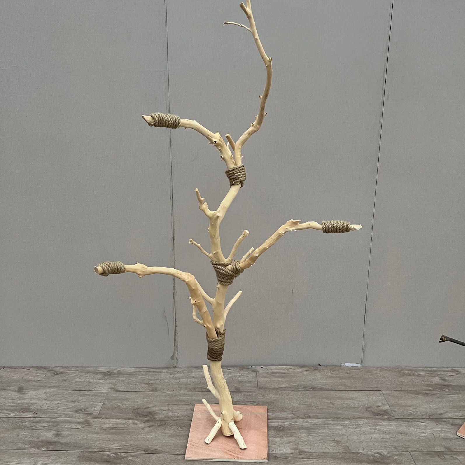 鹦鹉鸟站架树枝落地架原木树枝杈手工制作虎皮玄凤站棍小鸟用站杆