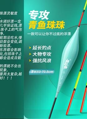 杨巨物Y70/Y55青鱼专用漂不过底漂珠珠行程漂纳米漂高灵敏青鱼漂