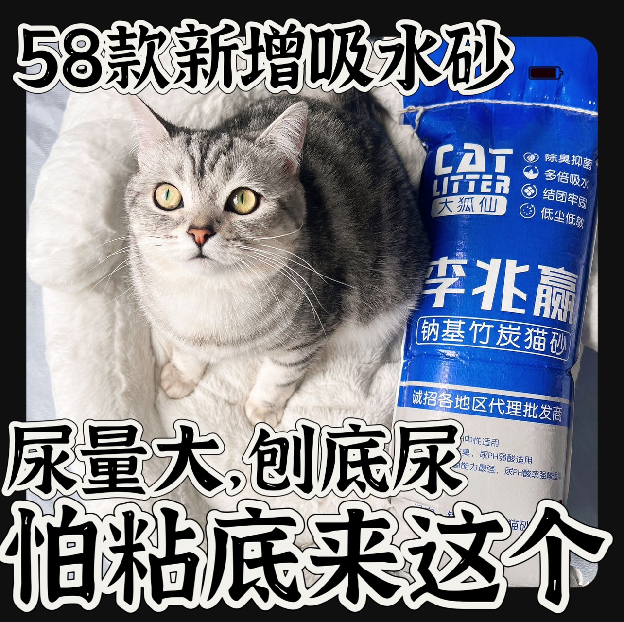 李兆赢正品小苏打除臭结团杠杠猫砂 58款单出个吸水砂针对刨底