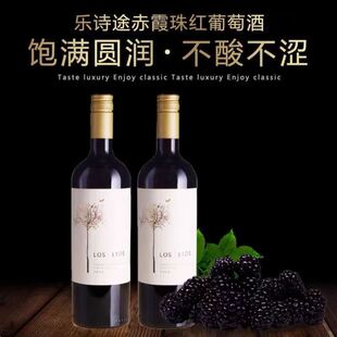 智利原瓶进口经典乐诗途红酒品种级赤霞珠高档优选干红葡萄