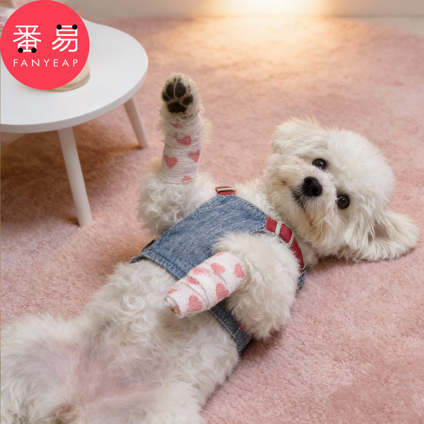 宠物绷带A1pq808-宠物绷带自粘狗狗绑脚裹脚布外出防脏包扎防磨