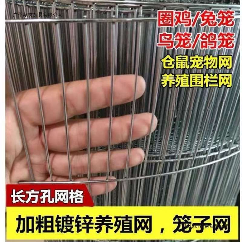 整卷防锈镀锌长孔电焊网鸟笼子网围栏网鸽舍地网鸡鸽兔笼子组装