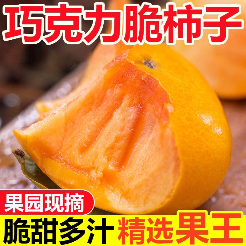 脆柿子巧克力新鲜水果阳丰脆柿