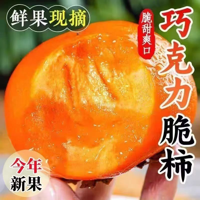 山西冰糖心脆柿子现摘脆甜多汁
