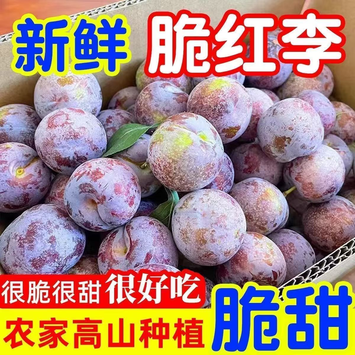 山西现摘安格诺黄肉李子酸甜多汁