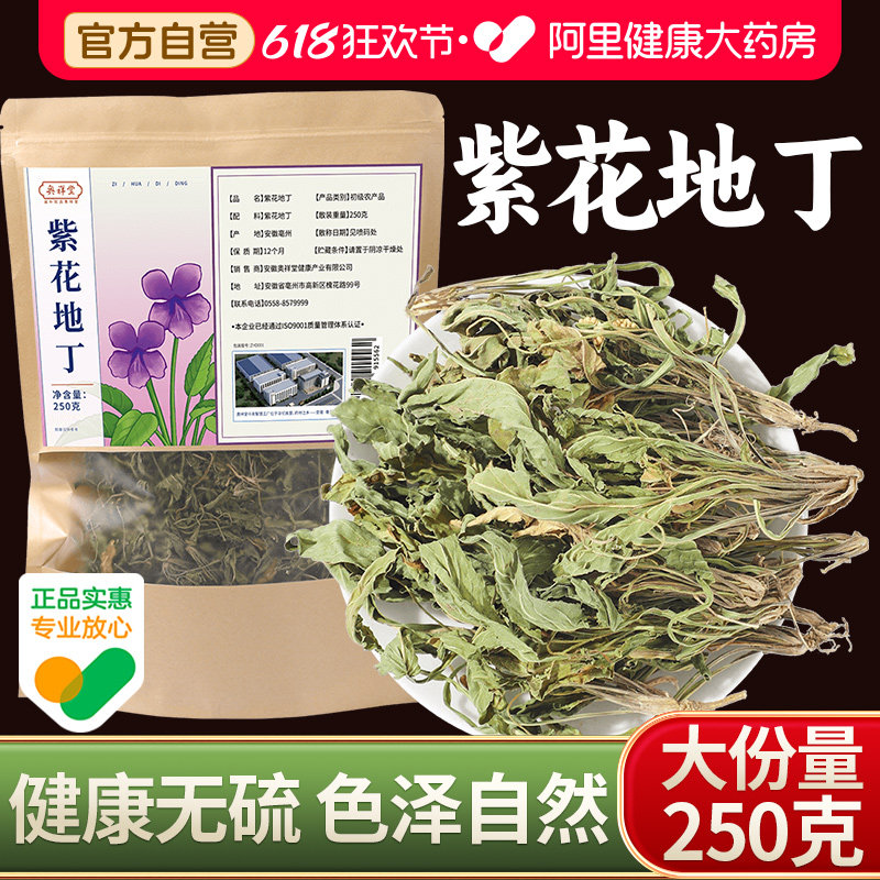 野生紫花地丁正品中草药材250g克新货犁头草地丁茶泡茶水喝中药材