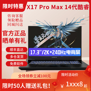 X17 将星X17PRO 七彩虹 4080游戏笔记本 14900hx PRO Colorful