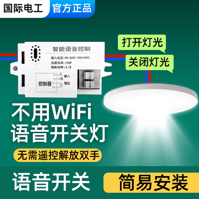 国际电工智能语音遥控灯具模块