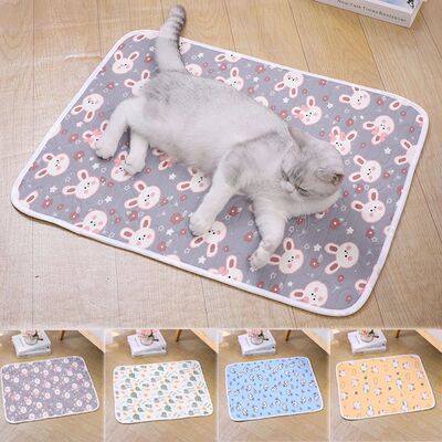 Dog Bed Cats Cooling Mat Latex Dampproof Pet Blankets Dog Sl