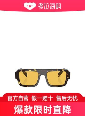 Prada 徽标太阳镜 PRA05S