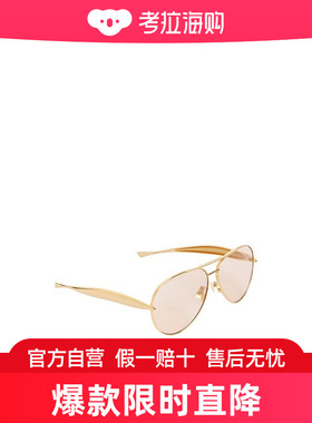Bottega Veneta 几何框太阳镜 779517V4450