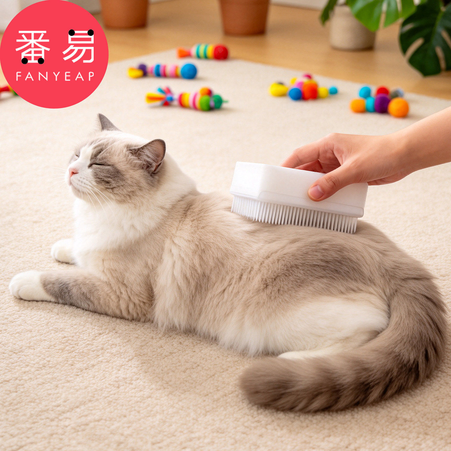 猫咪按摩梳A1pn008-猫咪头部梳毛去浮毛清理密齿宠物梳子软毛梳图片