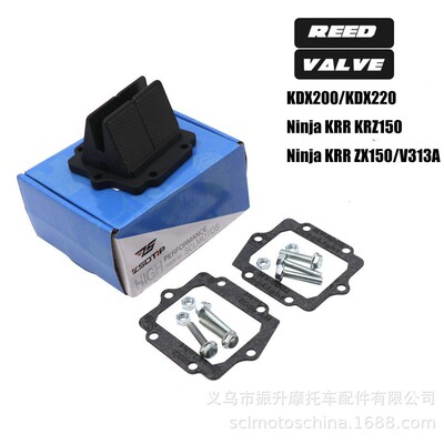 ZSDTRP摩托车簧片阀V313A