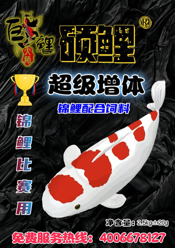 新店促销增体锦鲤饲料巨鲤大师