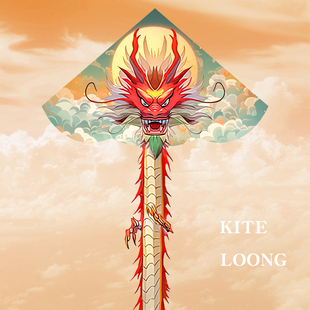 龙形风筝大人专用2026年新款潍坊大风筝龙年高档飞龙微风易飞风筝