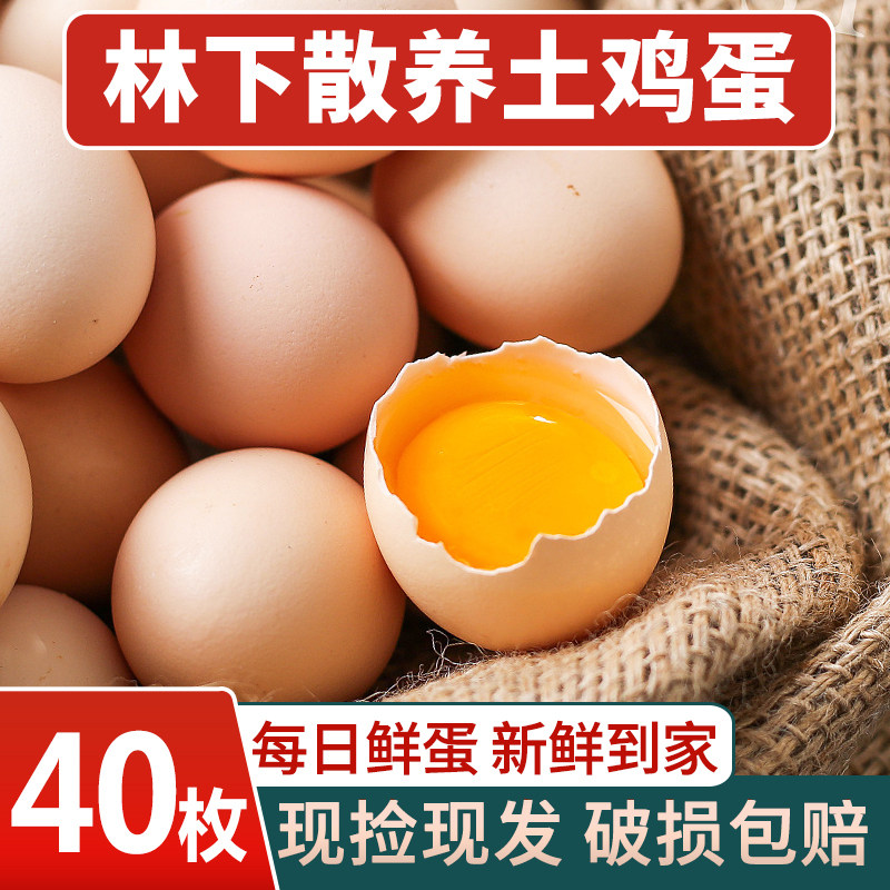 林下散养土鸡蛋新鲜40枚
