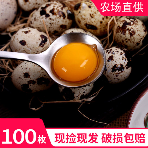 农家新鲜鹌鹑蛋100枚鹌鹑蛋生蛋鹑鸟蛋 宝宝辅食生鹌鹑蛋一箱破损