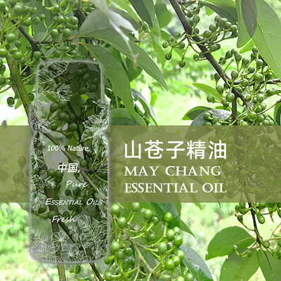 TLZY山苍子精油100ml 山鸡椒精油 木姜子/马告 散寒助消H单方精油