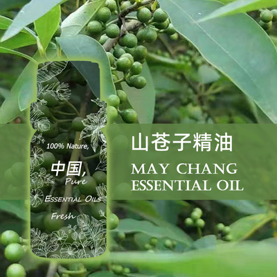 TLZY纯山苍子单方精油30ml木姜子/马告/山鸡椒精油暖肠胃消化驱湿